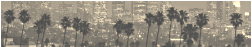 LA Preliminary Hearing Lawyer