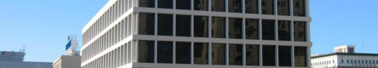 Los Angeles Criminal Lawyer