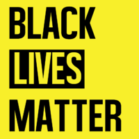 BLM Lawyer
